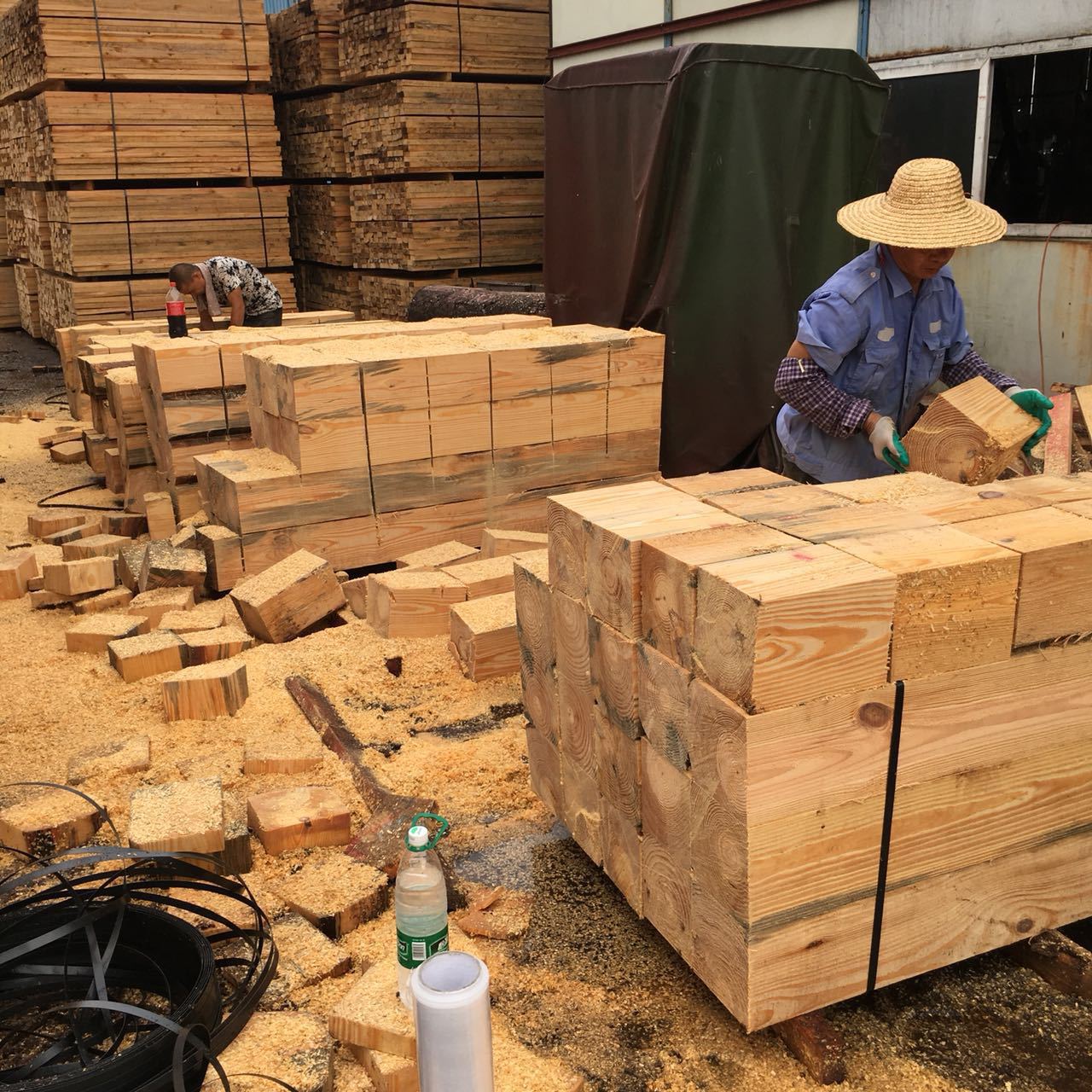 ɽSֱNľ  ľl ľľľ