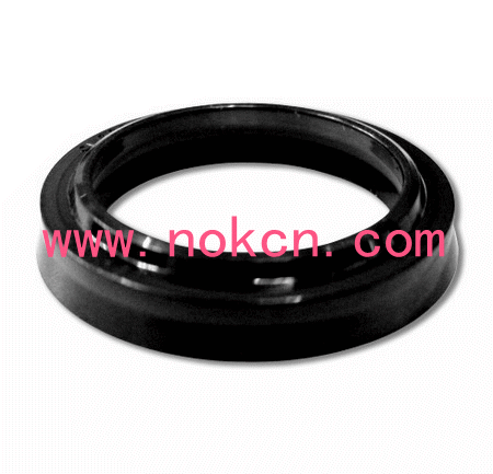  NOKܷȦODIIDIOSIISIܷȦ