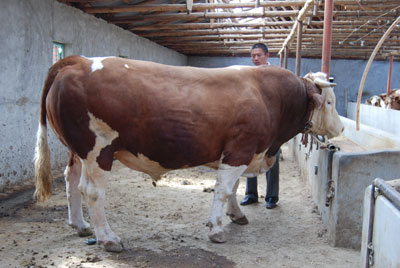 ַĸţW|ţЈЇӹţ