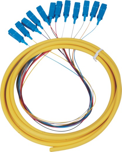 12оβw12оwwSC12оwβw