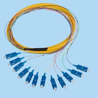 SCwβwSCwβwFCwβwϪwβw