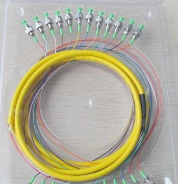 12оβwβwSңSC FCwβwS