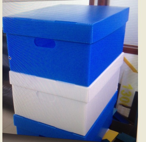 пհD пհD ppпհ fͨ PPпհ