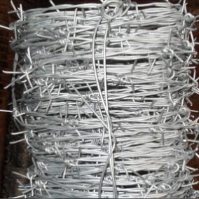 K_KS_Kr _|Kح12*14̖K