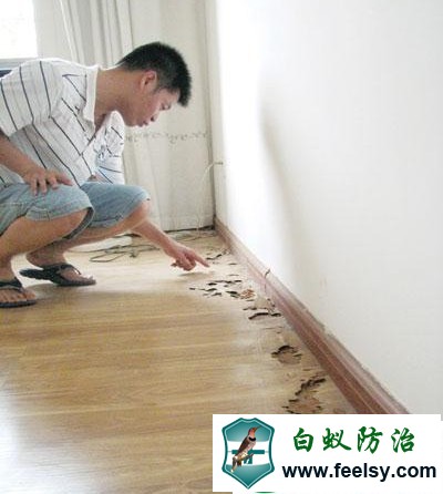 όIρxΡρˎеNx