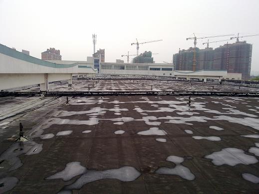 BƸ̼wSӹ̹˾/̼wSӹ/̼wSӹ̈r