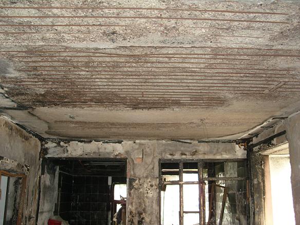 ̼wSӹ̹˾/̼wSӹ/̼wSӹ̈r