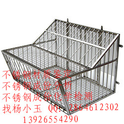 IṩٳɷַԪؙzy̖bҗС