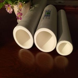 TXϽr܏ͺϹrPERT PE PPR