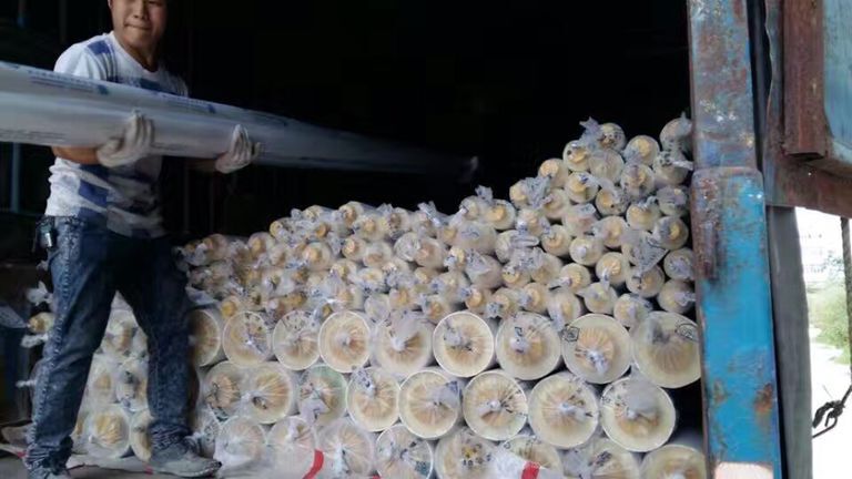 ĴPPRlݹ_PPR۰ع_pprˮع