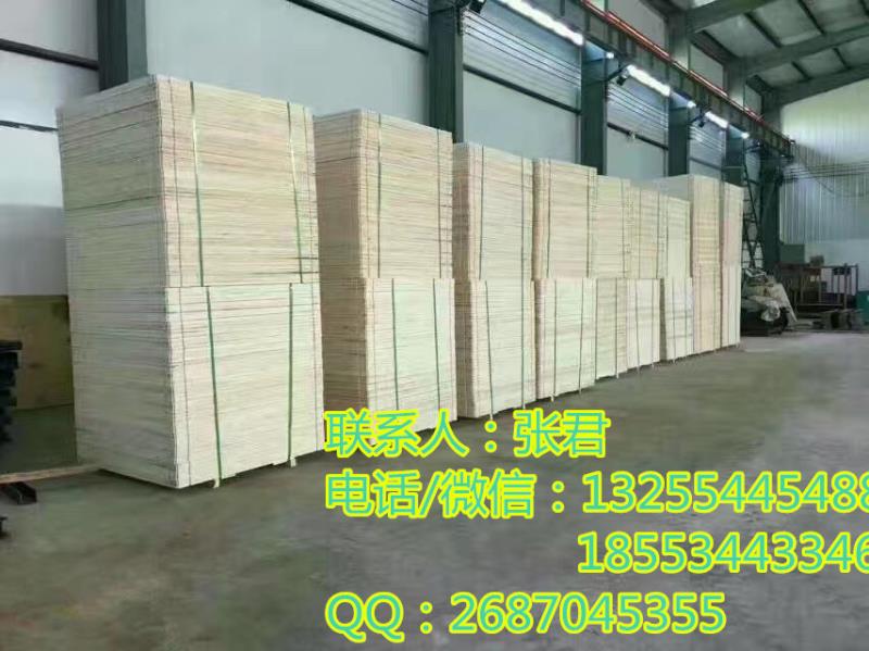 2016܇չչ[܇չ_DƬ_2016܇չչ[܇չ_