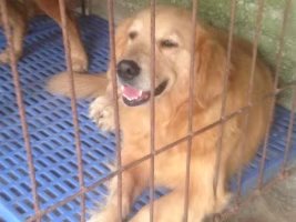 VݺõҎȮ֪ȸߵVݽëȮ֮