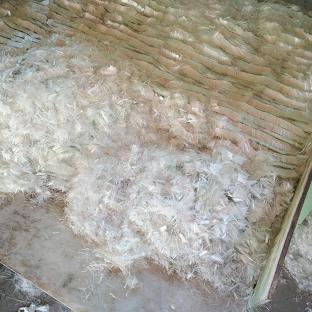 ɽ^wS------------gӭ