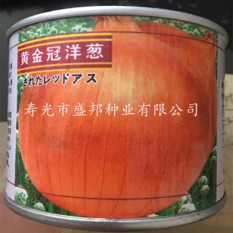 SMSƤ[NՈA[N sN ߲˷NӷN