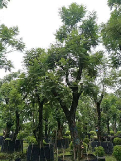 {@ֹ̾GrľֱN