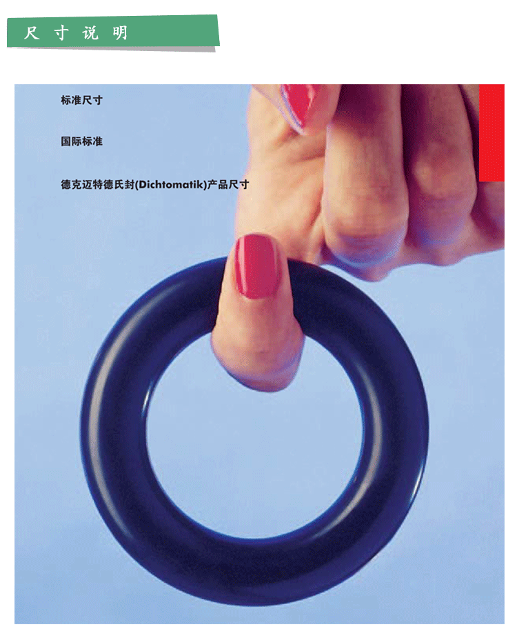 DichtomatikϷ/NBR/FKM/OܷȦ/OR