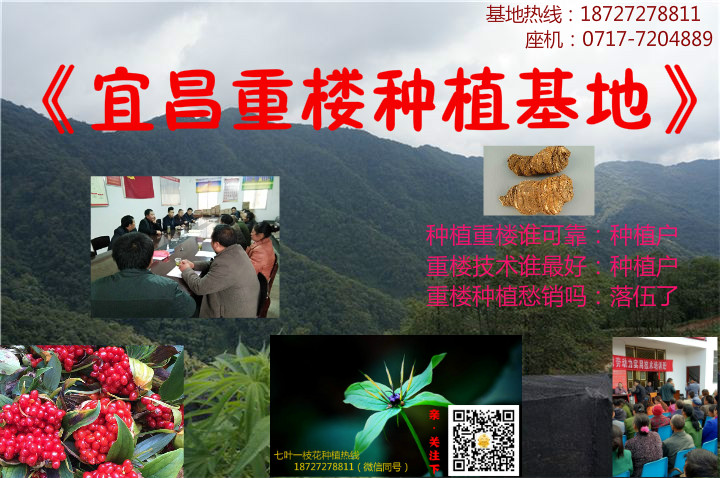 J2018IyĿ^ҎؘǷNֲ