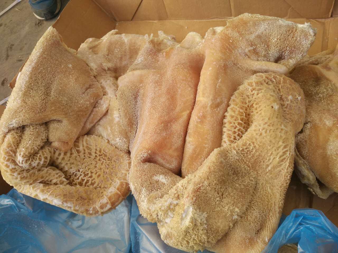 |HţƷlţǰ~l|ţĘţsllţ؛l