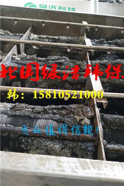 gӭRQr񌍘I޹˾SҚgӭ!Q