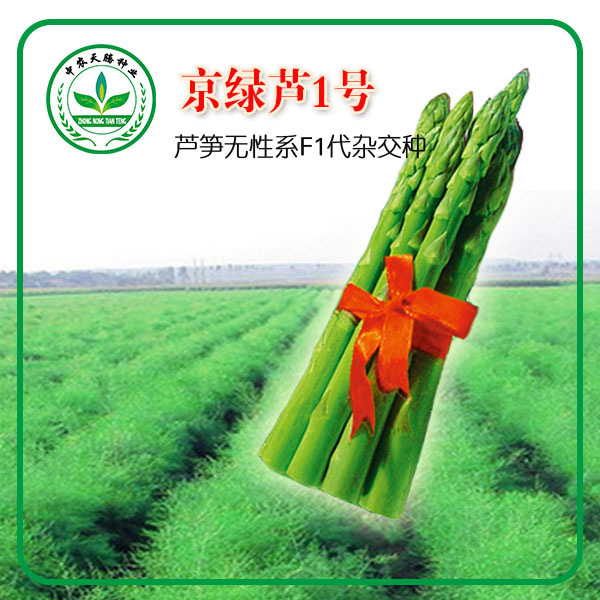 GJ1̖JSN G׼ JSNֲrvNIȫN