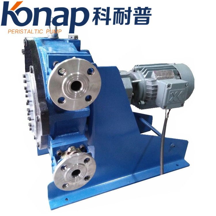 konapKNP25ߓP̸ܛܱ͸gIܛܱÈrSֱN