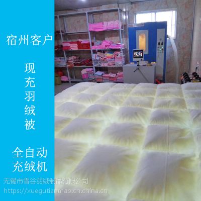 KqC ÷ِȫԄӳqC-XQͳqO