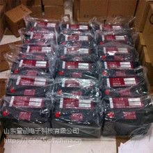 ̶늳redsun12-160USo12v160ah늳؏SֱN