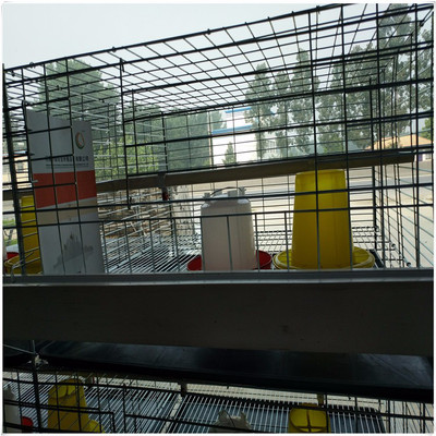 SҟNСuʽr\׾WܼӺ\ӈԹ