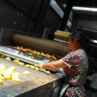 SֱNlyz-pb ưC SưC ְC ɶ