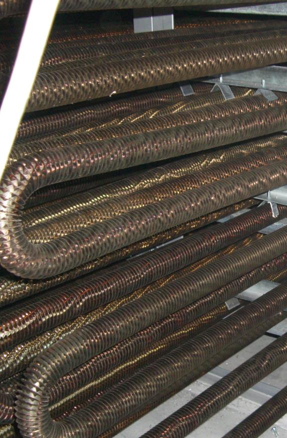 28vؓdr/ʰԴ/Wӯ늚O؟ι˾