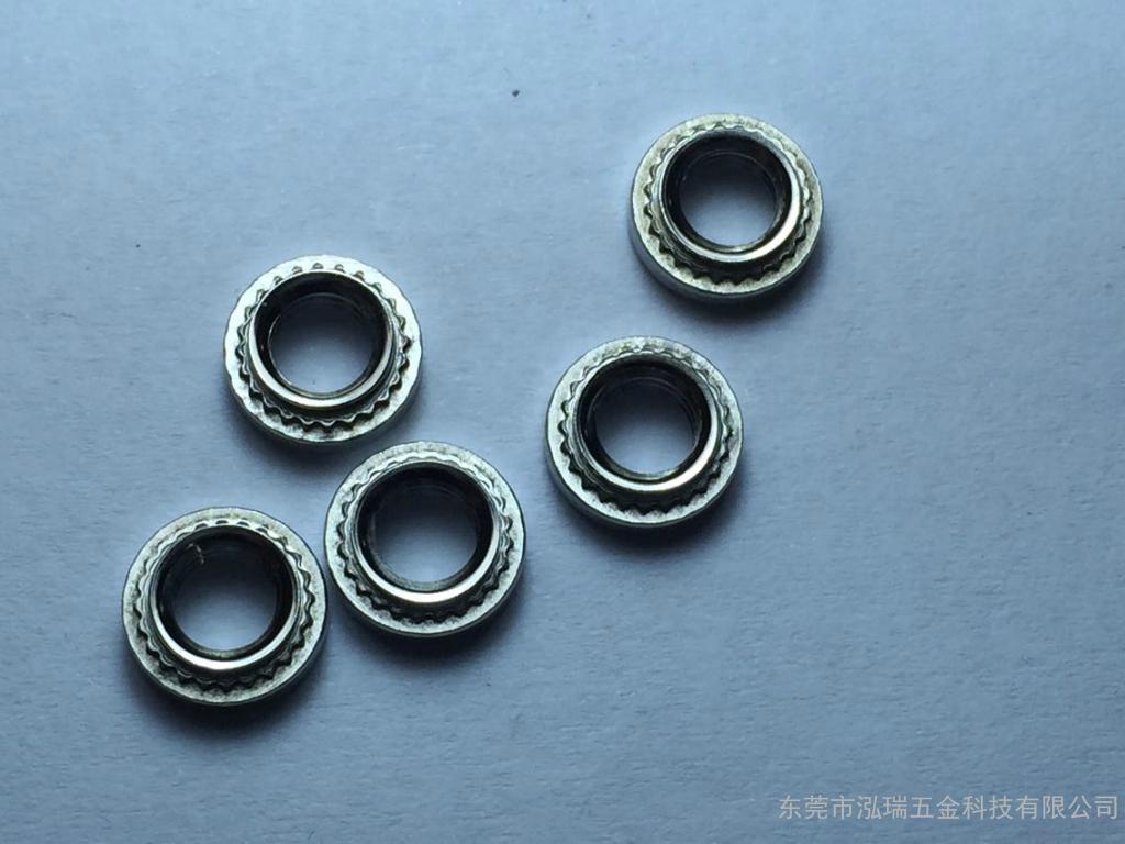 SֱN---PEMTĸ  CCo̼  ĸ  |ݸS