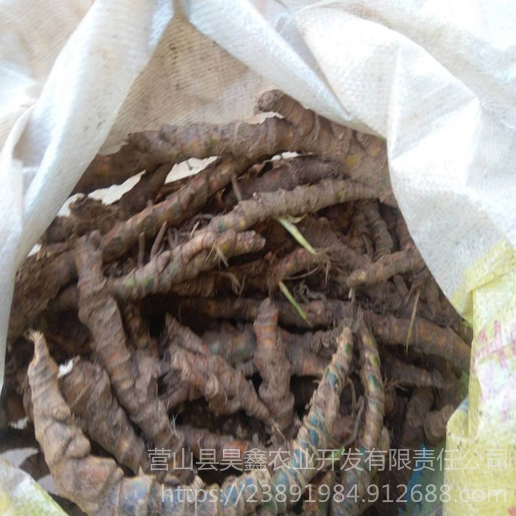 ʯ Ź СʯѷN ʯƬ؛