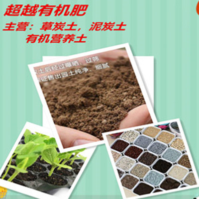 SֱN ɶЙC IB ̿ F؛ 󃞻