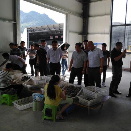 خaru ҰʳþҰuĢu uv500g