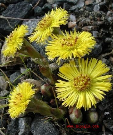 ϿNӷN-NaNۃrṩNֲg