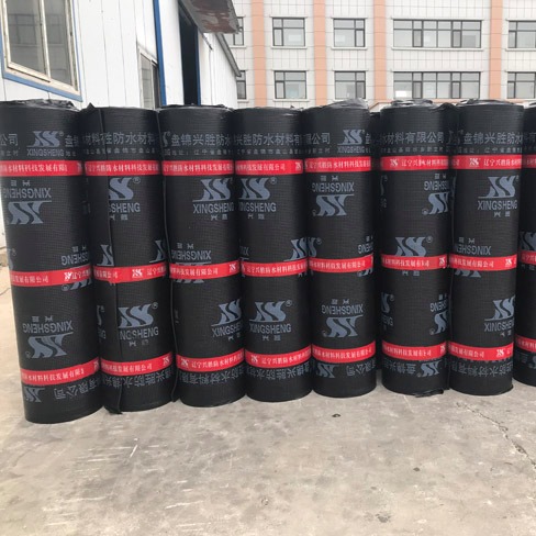 P\ˮďS  d SBSˮ APPˮ