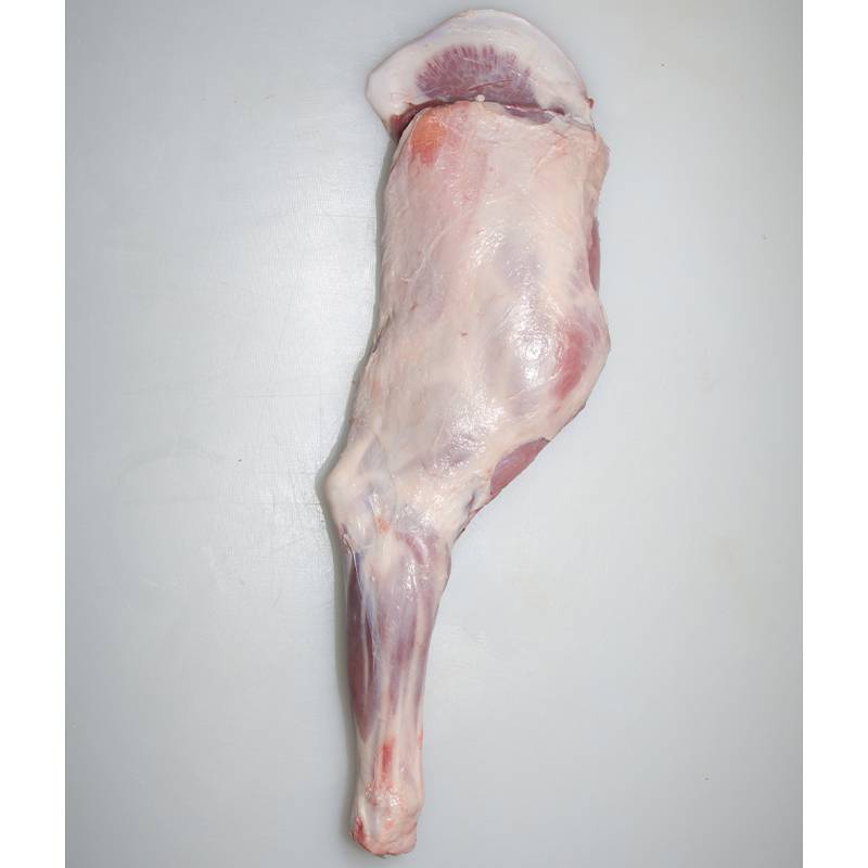 ǰȎǰظǰԭȟʳăɹŸlСISֱl