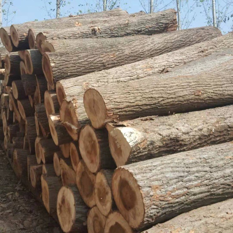 ɭľI-חľ-ԭľ-ľɼҾ߰