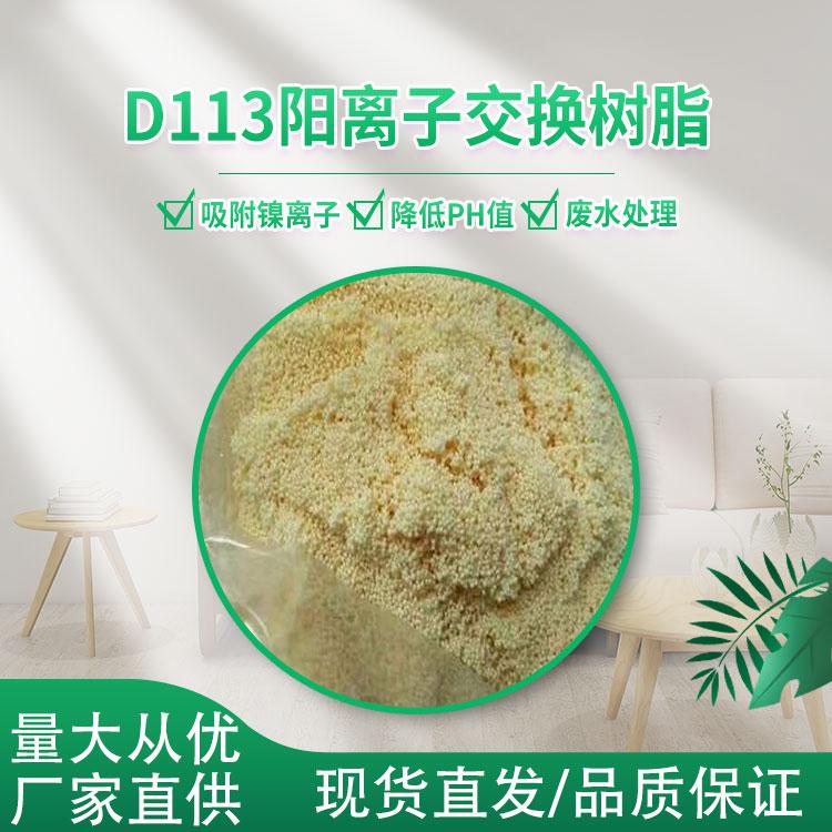 Դ-D113xӽQ֬-֬S-gӭԃ