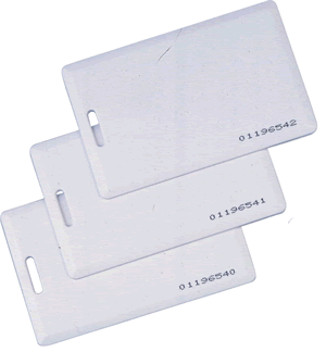 հIDIDհ׿r[|r]