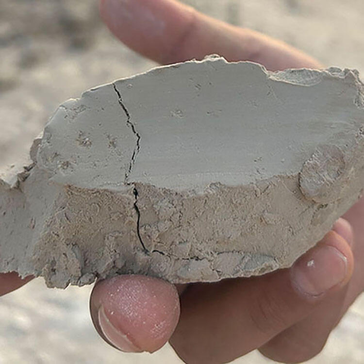 ɽ|Vͻճܛ|ߎXX17%35%