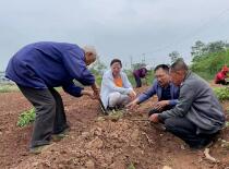 ˮ| h ̏UΣUșzy ؽUԪؙzy