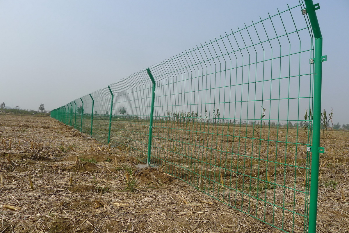 ɭ1.8׸ȦBֳW Gɫp߅zoھWF؛ҎRȫ