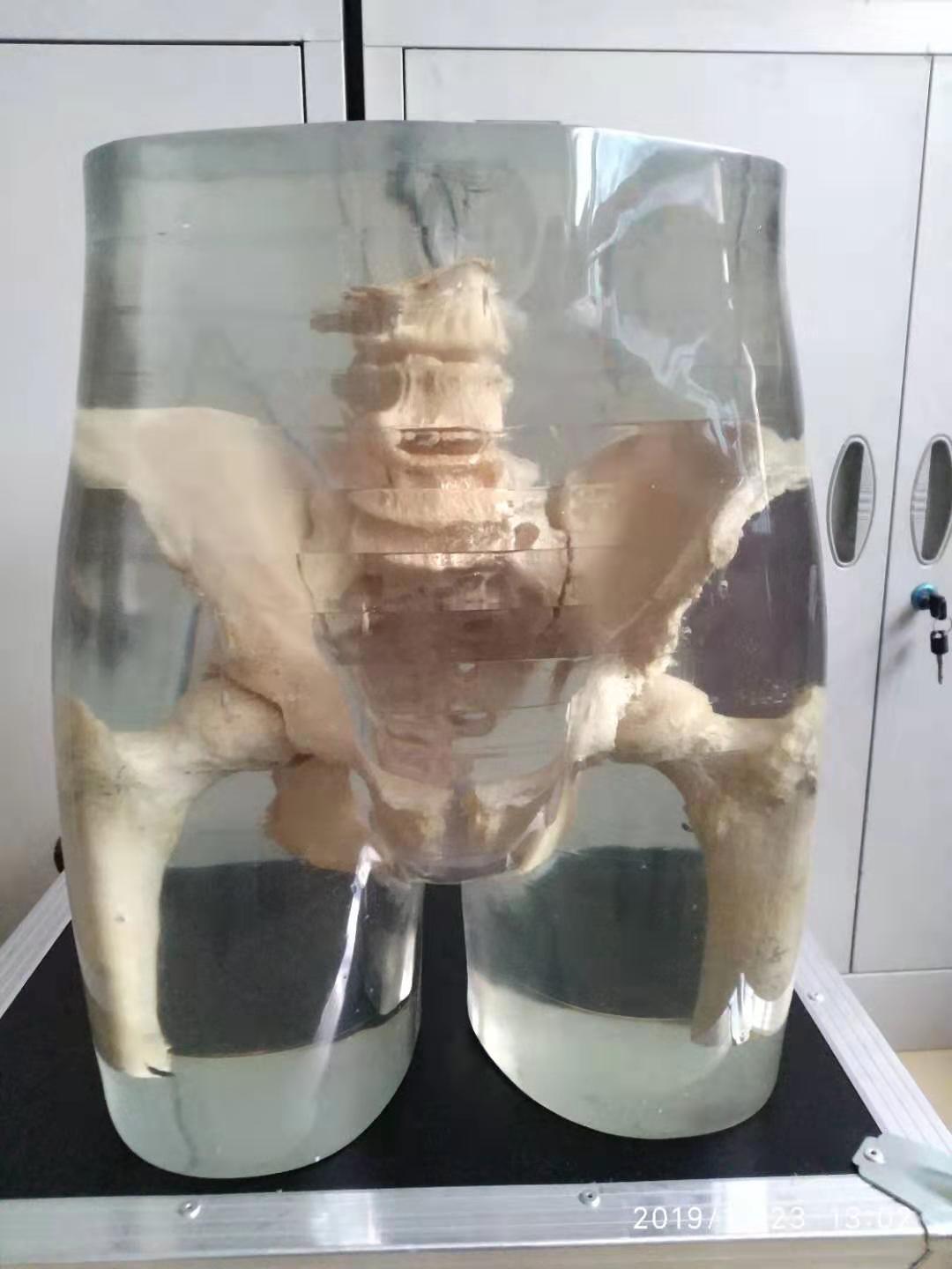 ˹^X侀ֲģwX侀_ģwX侀yPģw