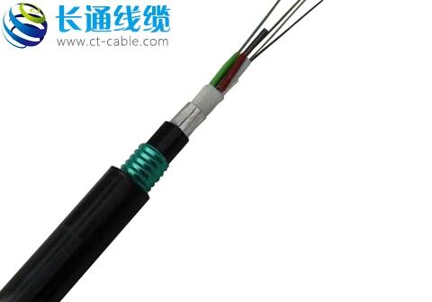 24оGYTA53|GYTA53|rֱ|