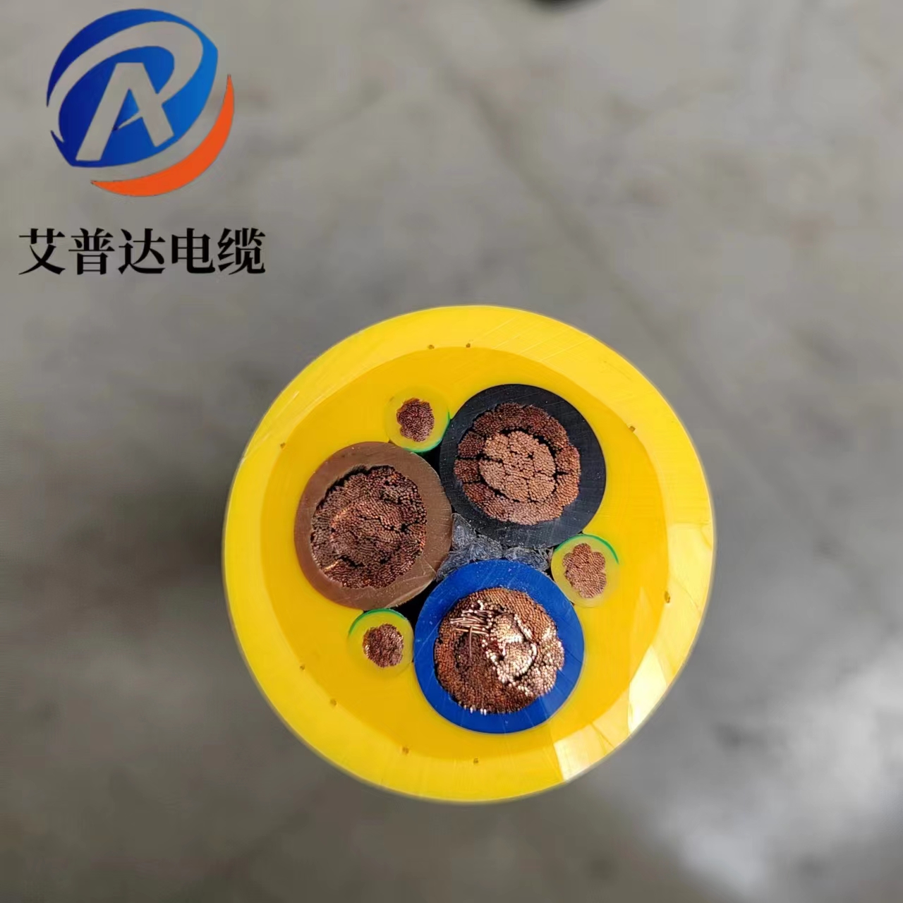 Vɽ늄P\C|PURߏĥͲ|