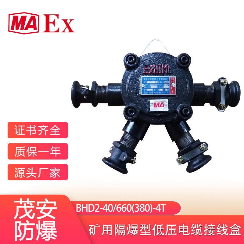 Դ^SҵVø͵͉|Ӿ BHD2-40/660(380)-4T