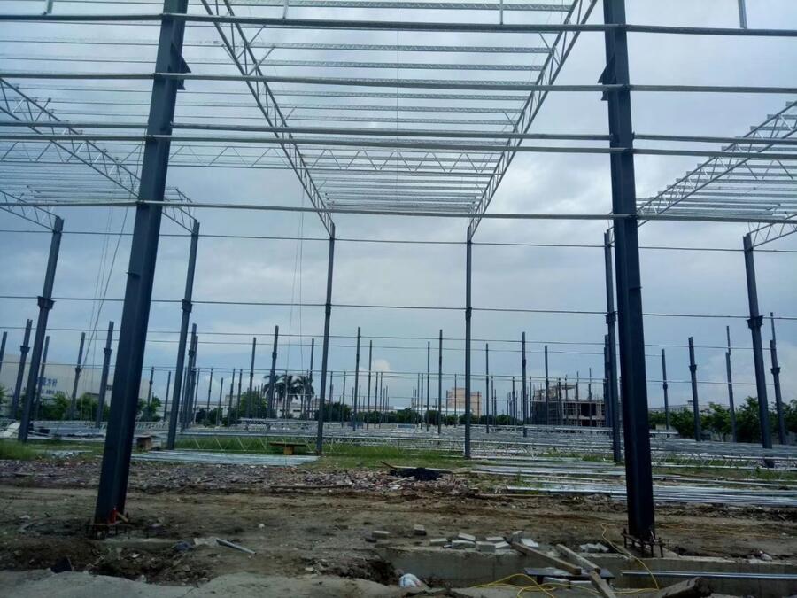 |ݸڏVݻݴFƤFƤ߷FƤߏS˾