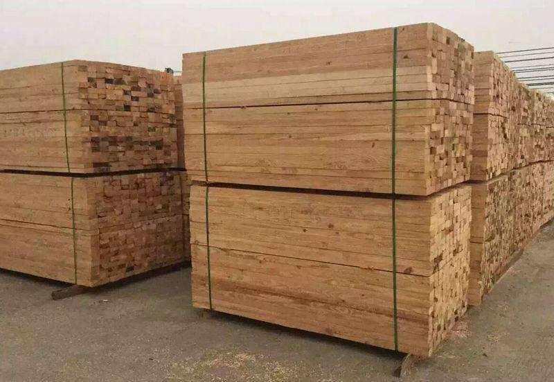 麣SֱV|ɷľ  ľȃNľ