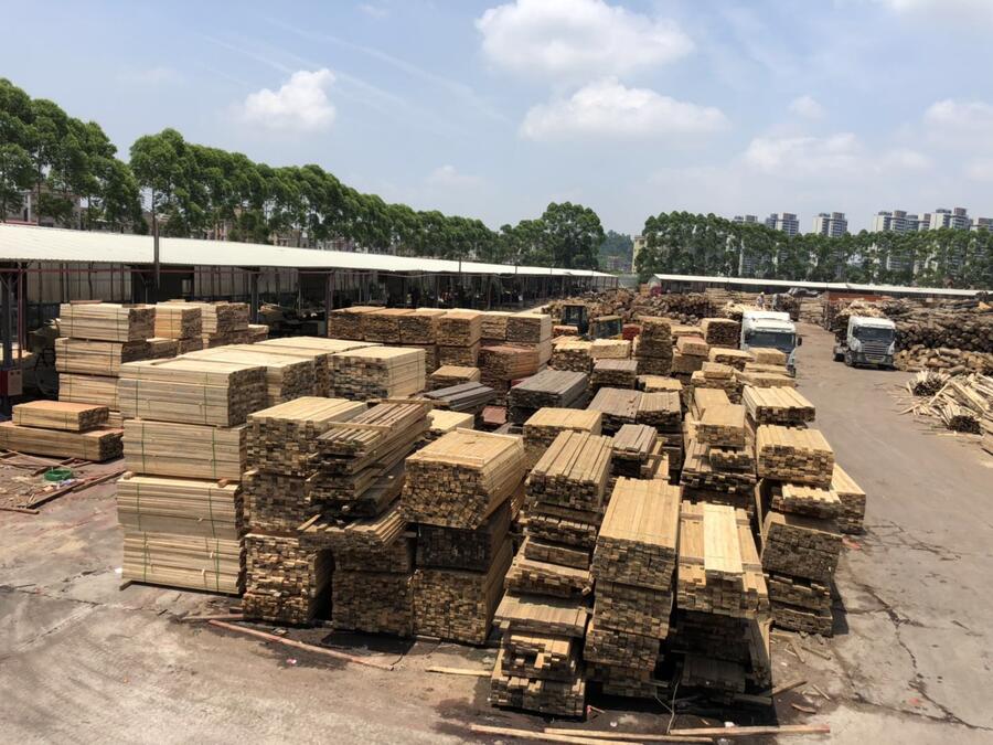 ɽNҎ ľľ ľļӹ SlֱN